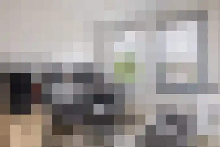 Offenbachstraat 32 Capelle aan den IJssel thumbnail 23