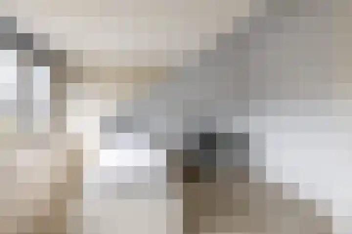 Offenbachstraat 32 Capelle aan den IJssel thumbnail 27