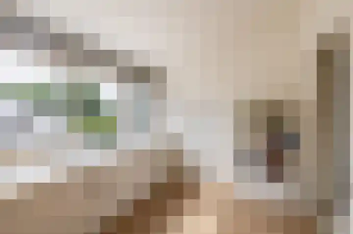 Offenbachstraat 32 Capelle aan den IJssel thumbnail 30