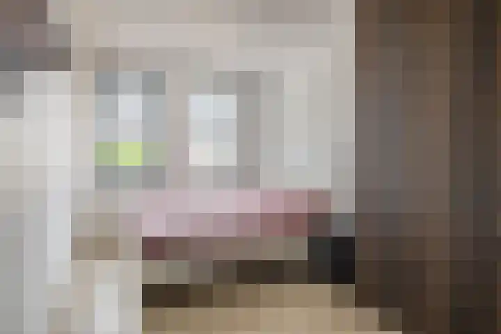 Offenbachstraat 32 Capelle aan den IJssel thumbnail 4