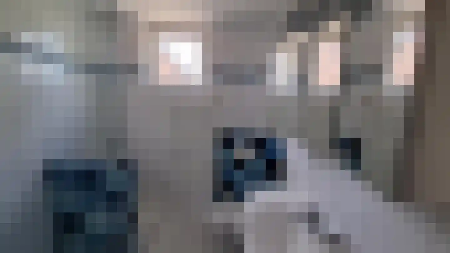 Offenbachstraat 4 Spijkenisse thumbnail 12