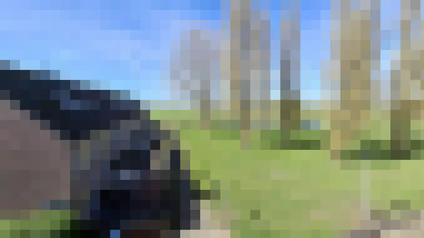 Offenbachstraat 4 Spijkenisse thumbnail 15