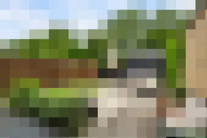 Offenbachstraat 41 Capelle aan den IJssel thumbnail 10