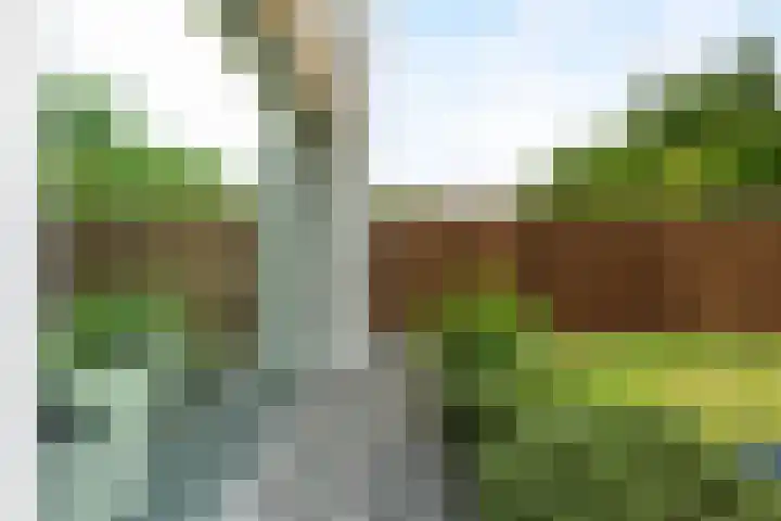 Offenbachstraat 41 Capelle aan den IJssel thumbnail 12