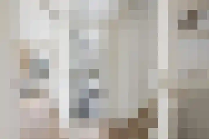 Offenbachstraat 41 Capelle aan den IJssel thumbnail 16