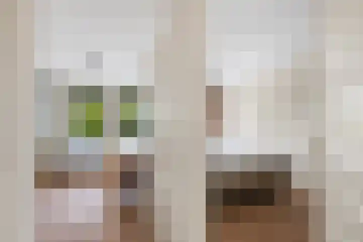 Offenbachstraat 41 Capelle aan den IJssel thumbnail 23