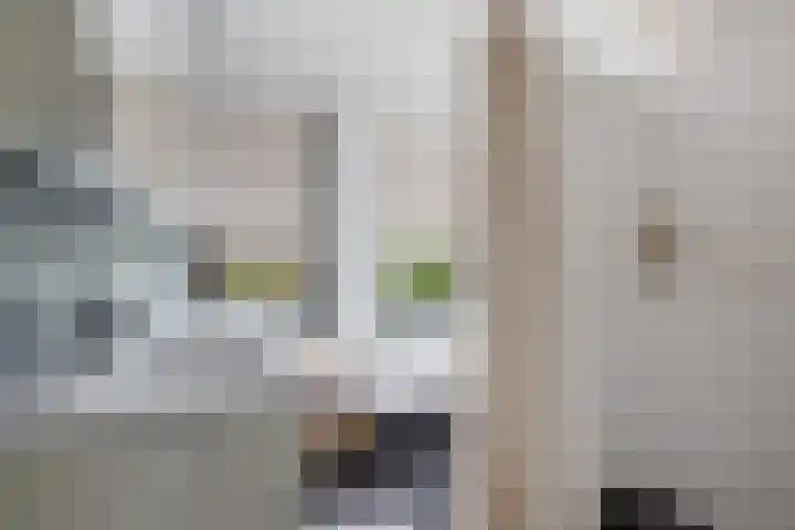 Offenbachstraat 41 Capelle aan den IJssel thumbnail 25