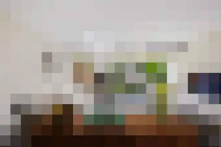 Offenbachstraat 41 Capelle aan den IJssel thumbnail 5