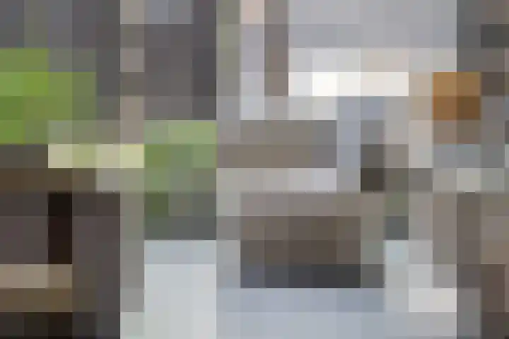 Offenbachstraat 41 Capelle aan den IJssel thumbnail 6