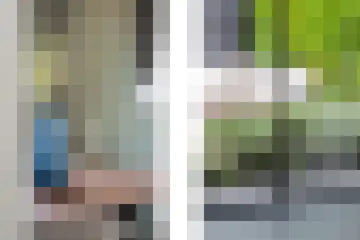Offenbachstraat 41 Capelle aan den IJssel thumbnail 8