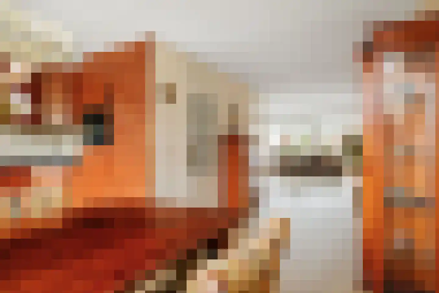 Offenbachstraat 7 Twello thumbnail 18