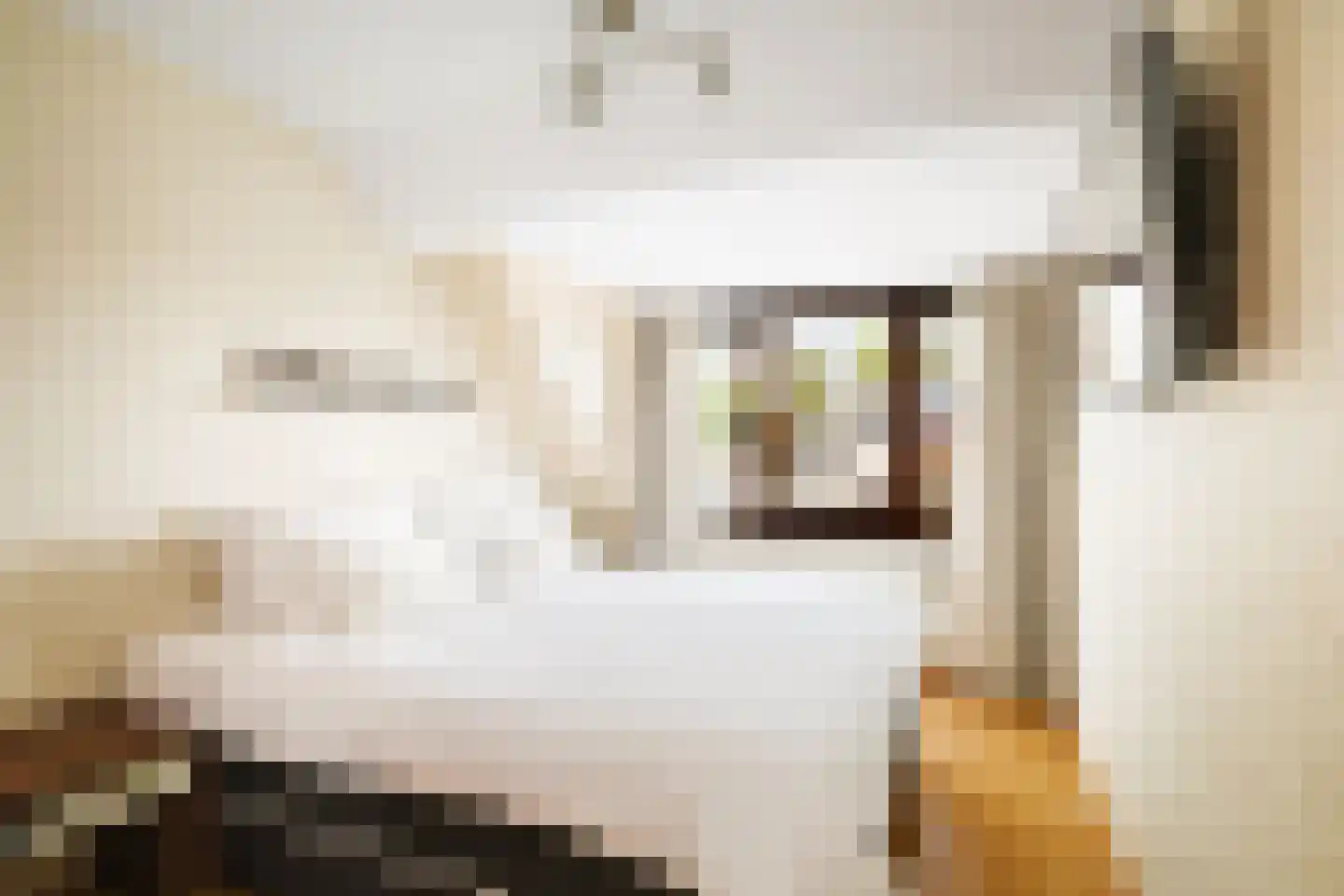 Offenbachstraat 7 Twello thumbnail 27