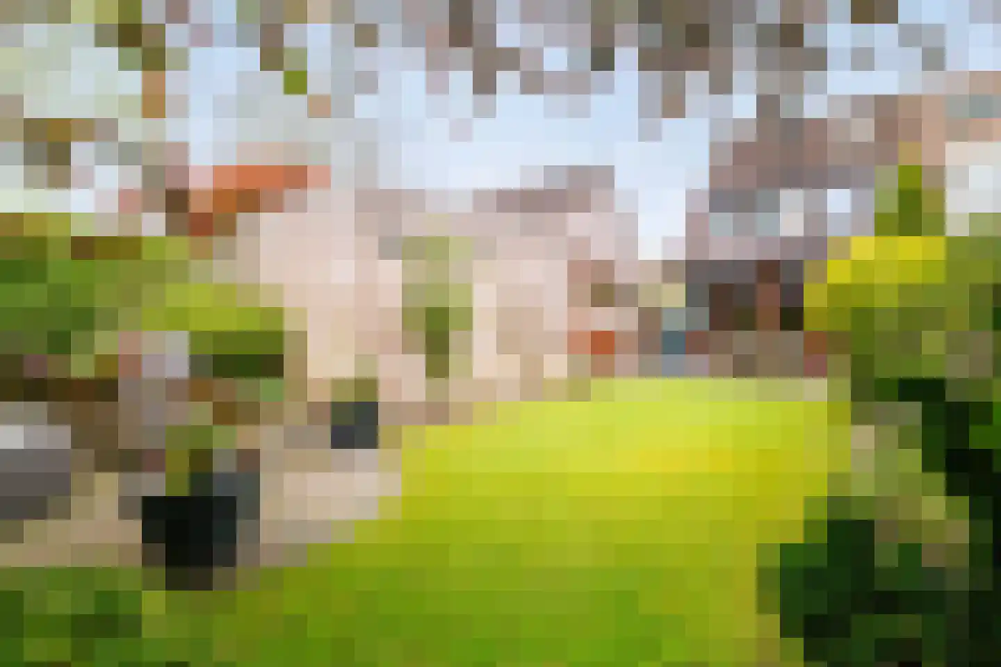 Offenbachstraat 7 Twello thumbnail 37