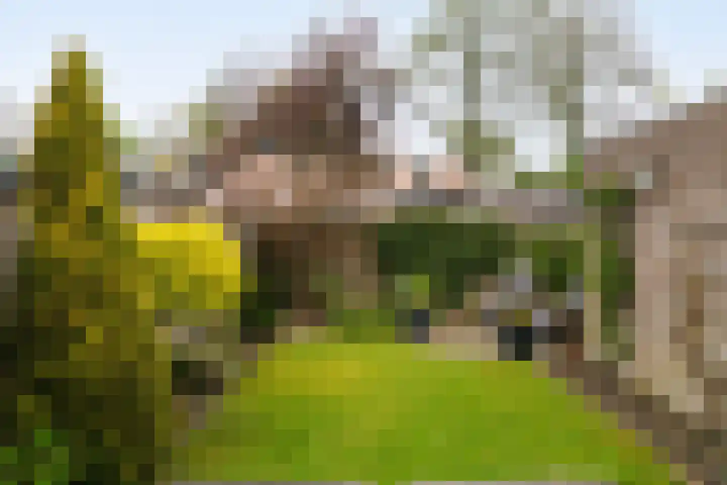 Offenbachstraat 7 Twello thumbnail 39