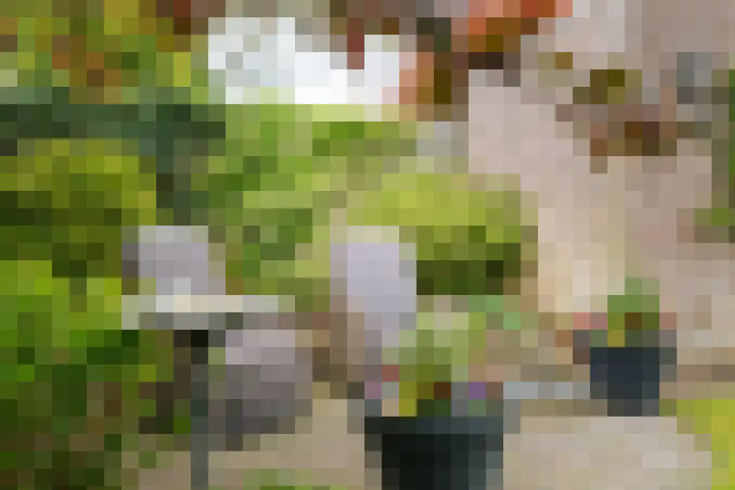 Offenbachstraat 7 Twello thumbnail 40
