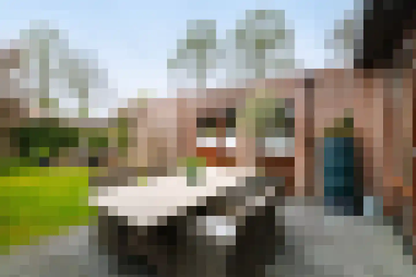 Offenbachstraat 7 Twello thumbnail 41