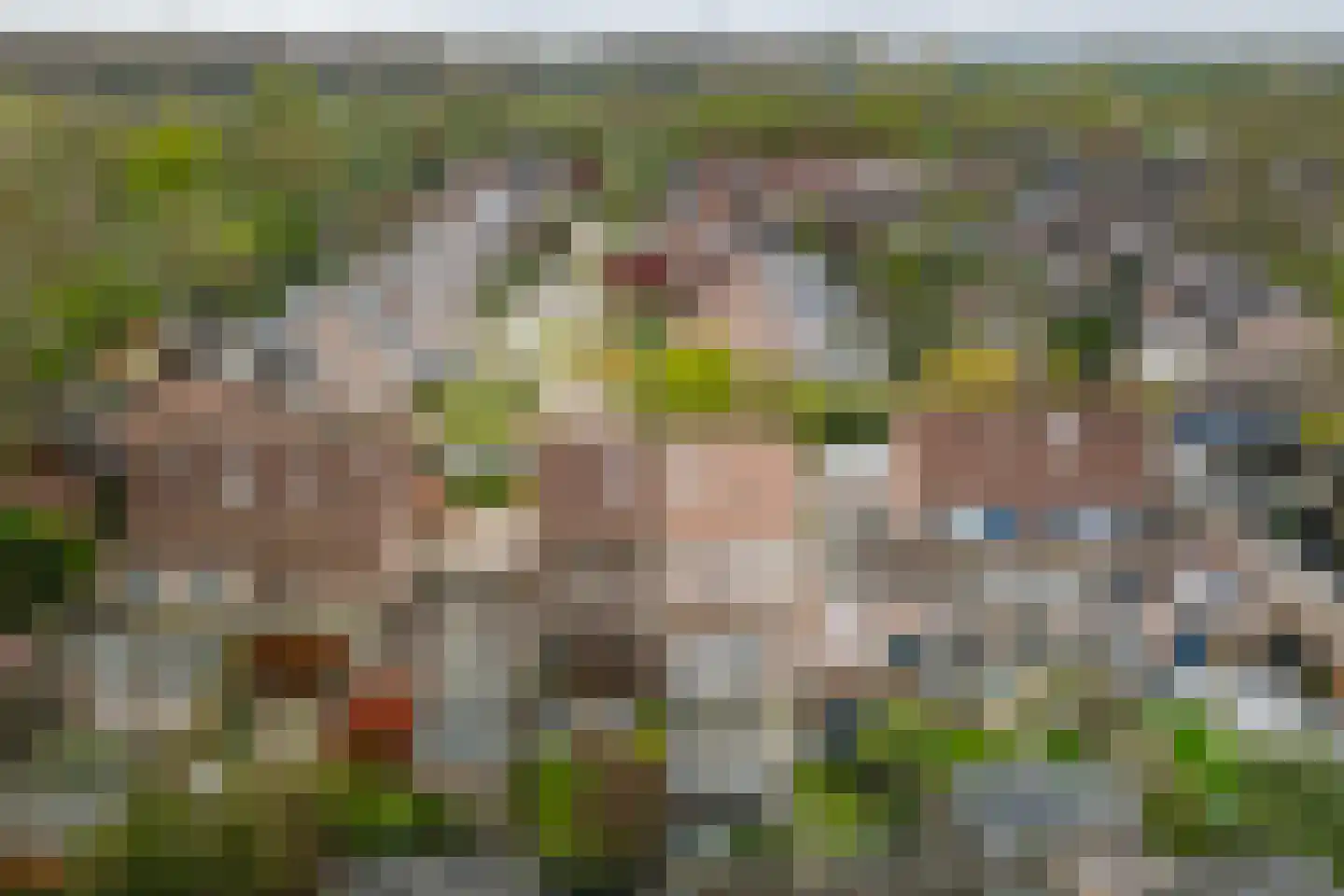 Offenbachstraat 7 Twello thumbnail 42