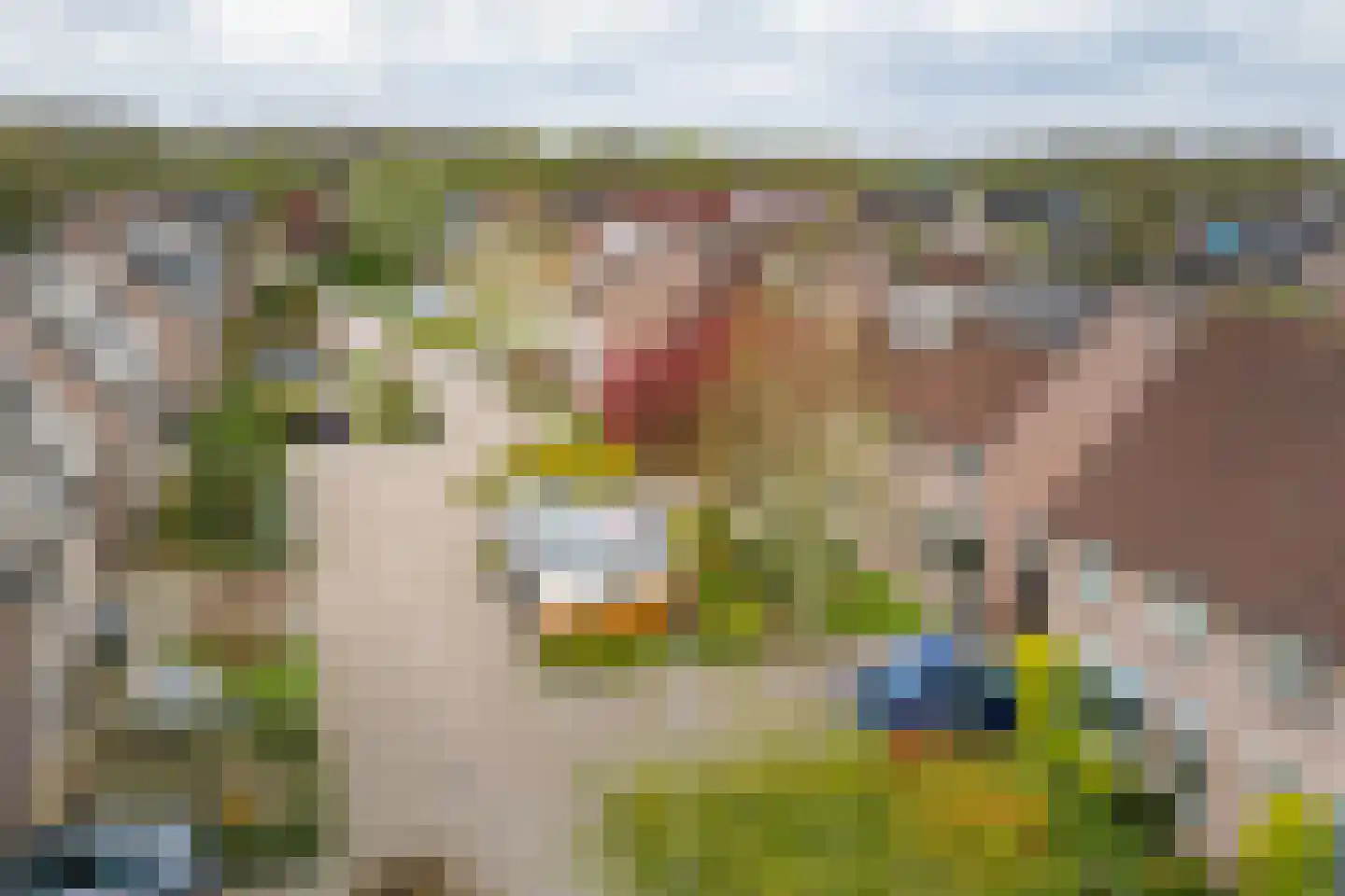 Offenbachstraat 7 Twello thumbnail 44