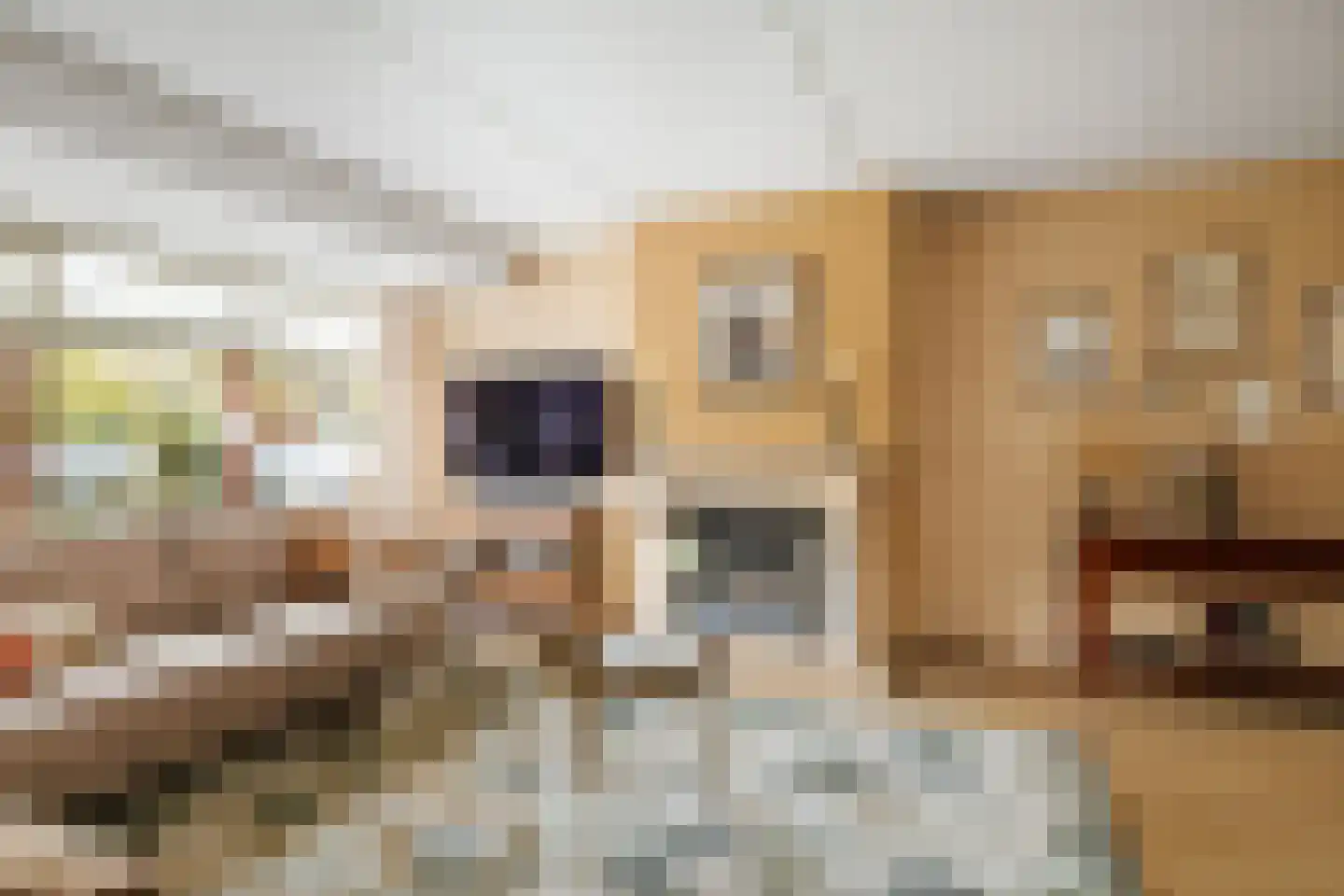 Offenbachstraat 7 Twello thumbnail 8