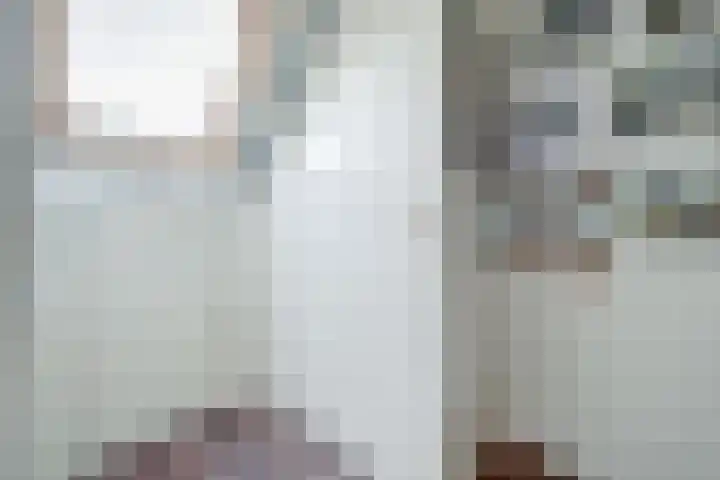 Offenbachstraat 8 Twello thumbnail 32