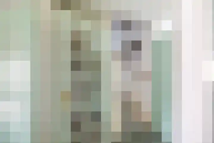 Offenbachstraat 9 Twello thumbnail 15