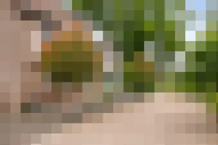 Offenbachstraat 9 Twello thumbnail 24