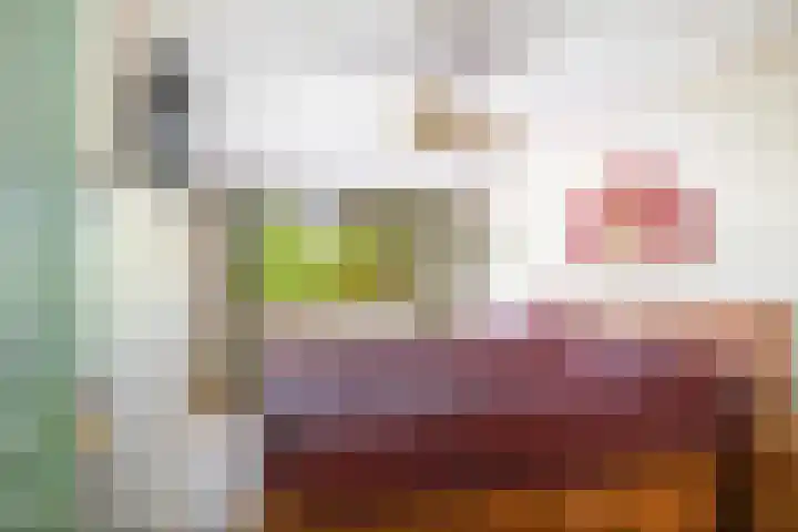 Offenbachstraat 9 Twello thumbnail 9