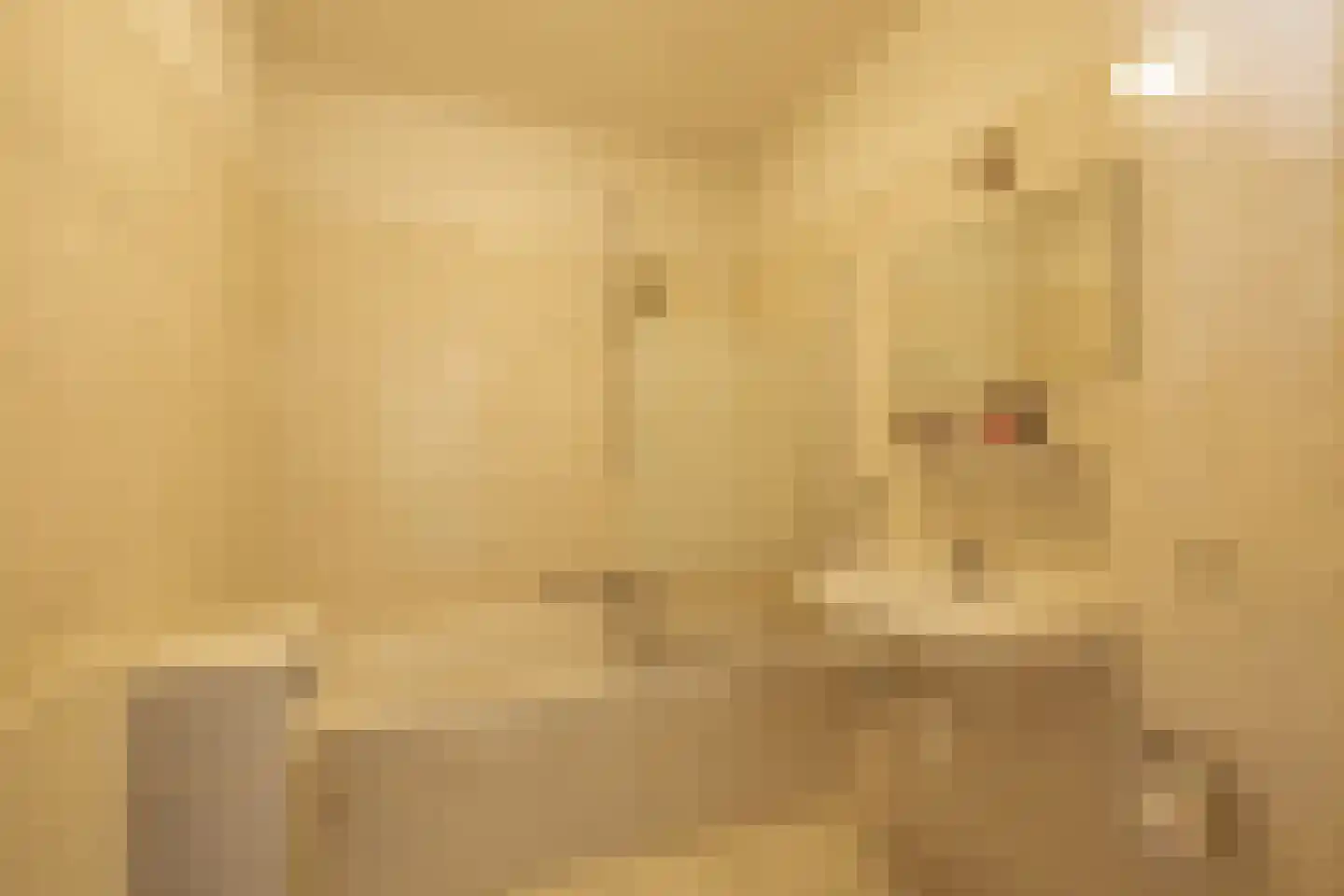Offenbeker Bemden 11 Reuver thumbnail 16