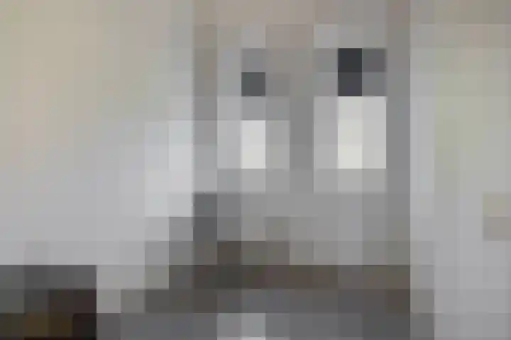 Offenbeker Bemden 19 Reuver thumbnail 15