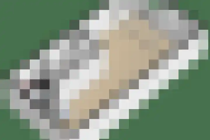 Offenbeker Bemden 19 Reuver thumbnail 26