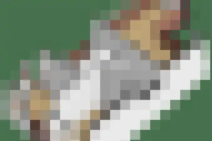 Offenbeker Bemden 19 Reuver thumbnail 27