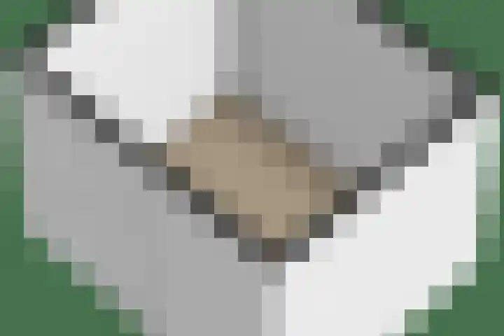 Offenbeker Bemden 19 Reuver thumbnail 28