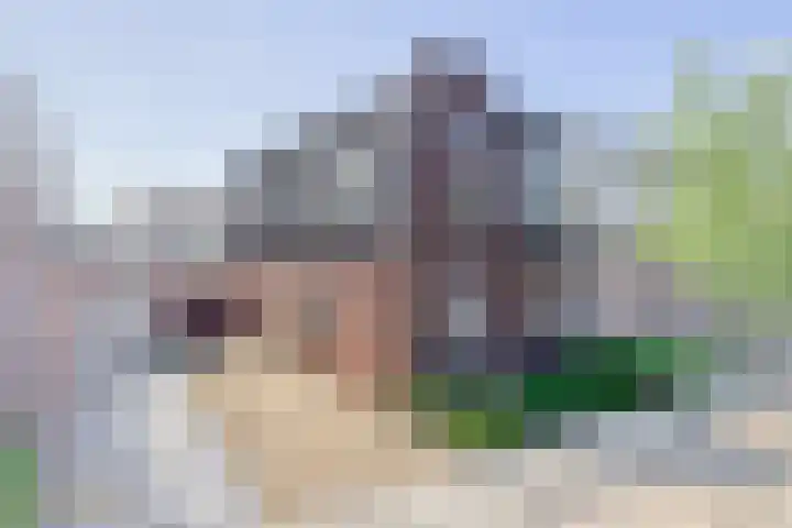Offenbeker Bemden 19 Reuver thumbnail 29