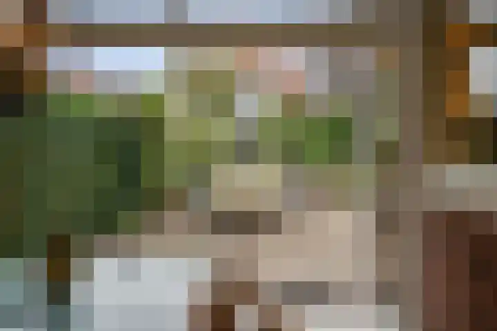 Offenbeker Bemden 72 Reuver thumbnail 19