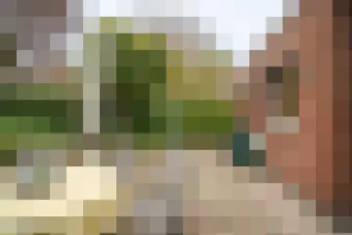 Offenbeker Bemden 72 Reuver thumbnail 21