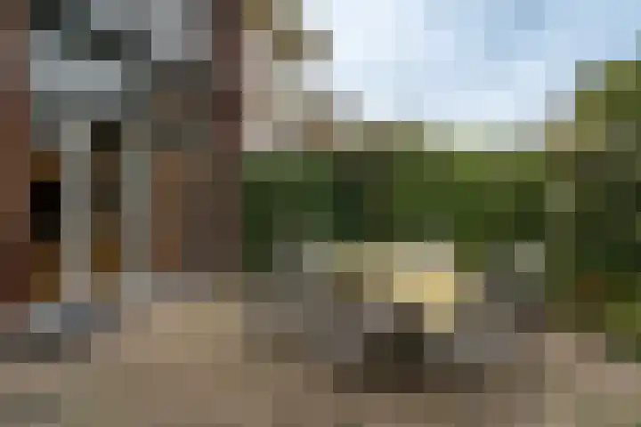 Offenbeker Bemden 72 Reuver thumbnail 25