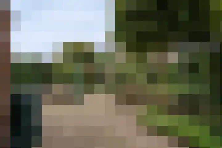 Offenbeker Bemden 72 Reuver thumbnail 27