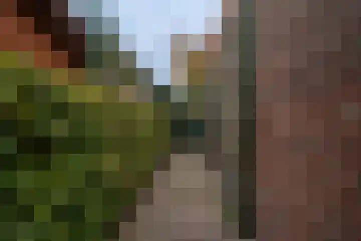 Offenbeker Bemden 72 Reuver thumbnail 28