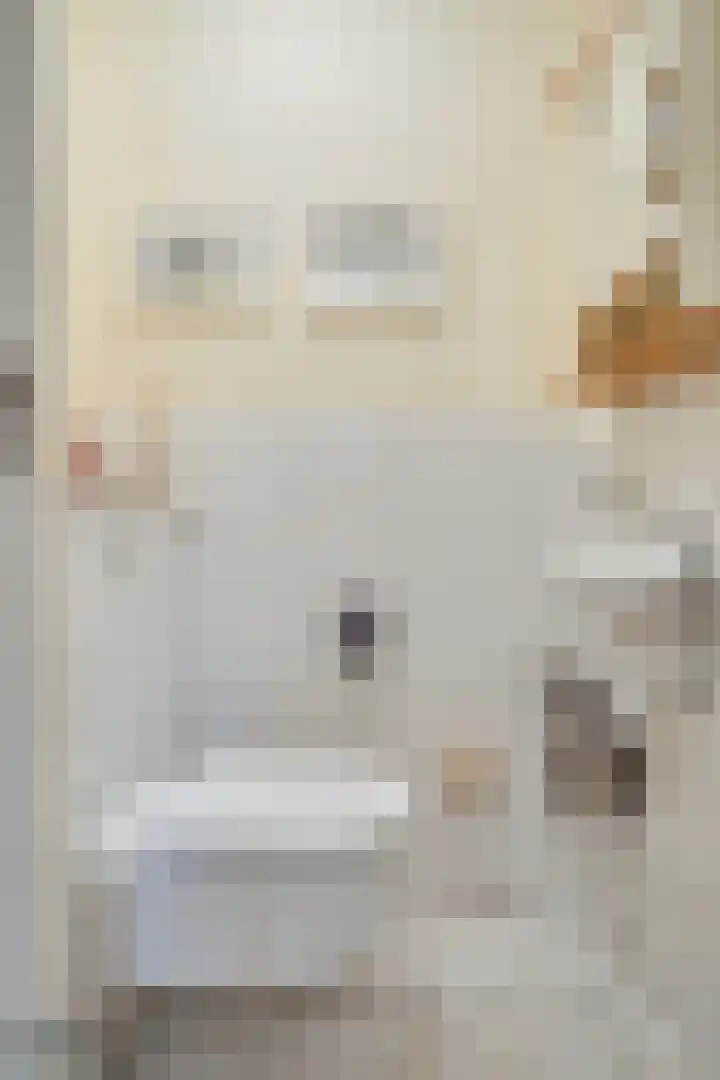 Offenbeker Bemden 72 Reuver thumbnail 31