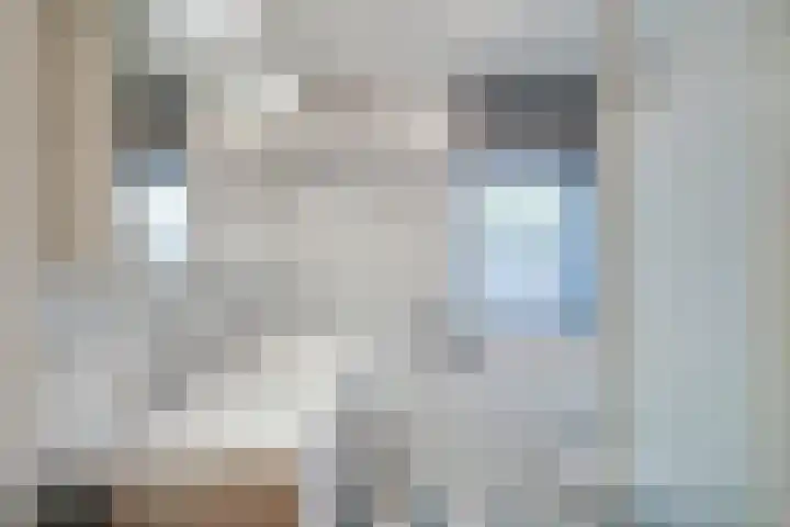 Offenbeker Bemden 72 Reuver thumbnail 34