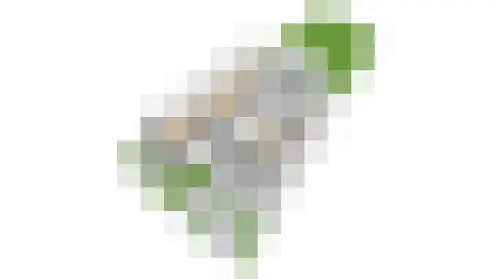 Offenbeker Bemden 72 Reuver thumbnail 50