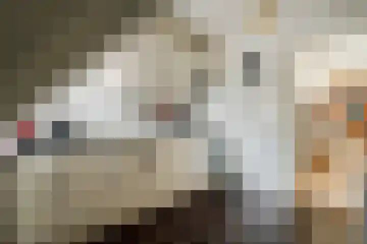 Offenberglaan 1 25A Den Haag thumbnail 15