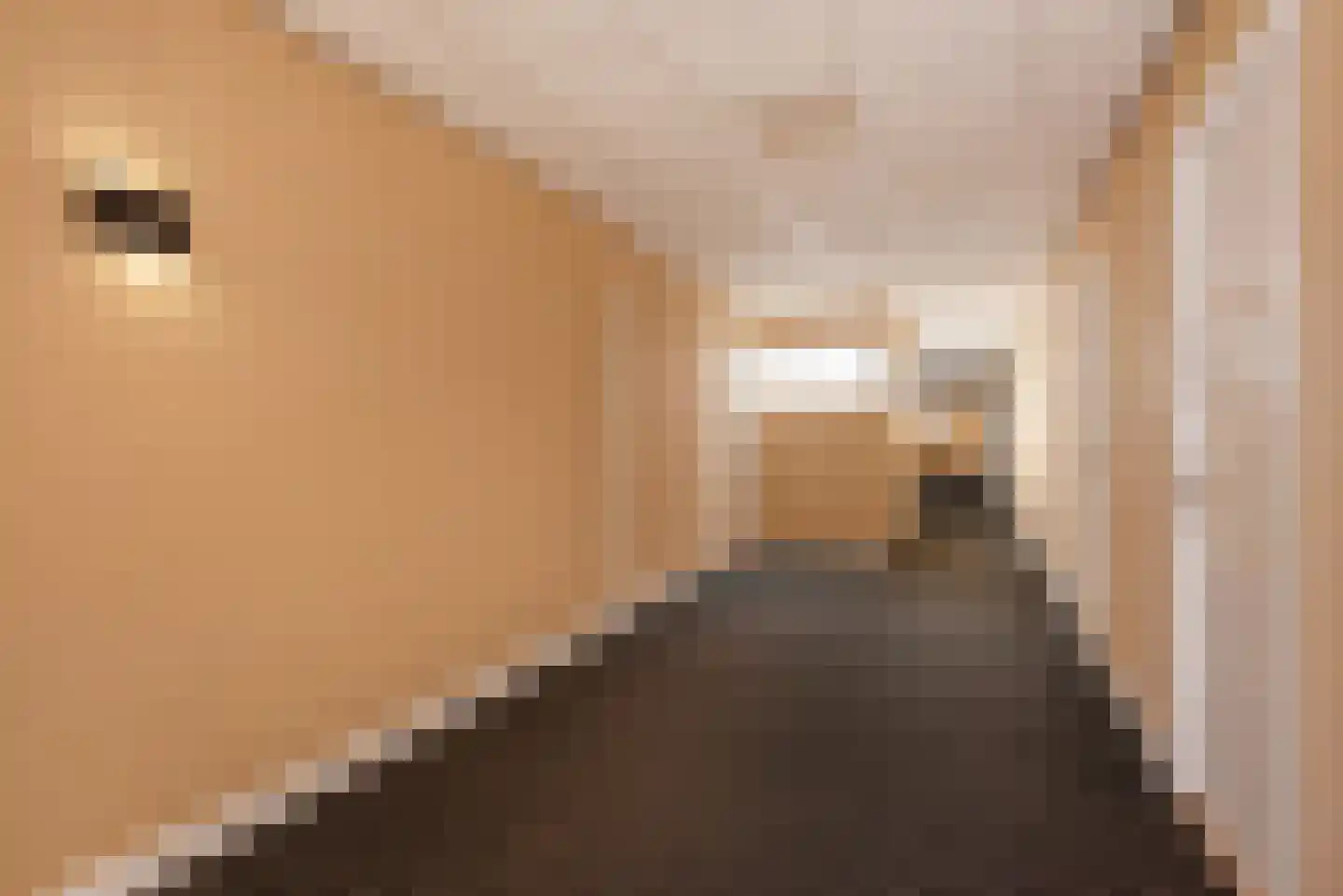 Offenberglaan 1 42 Den Haag thumbnail 37