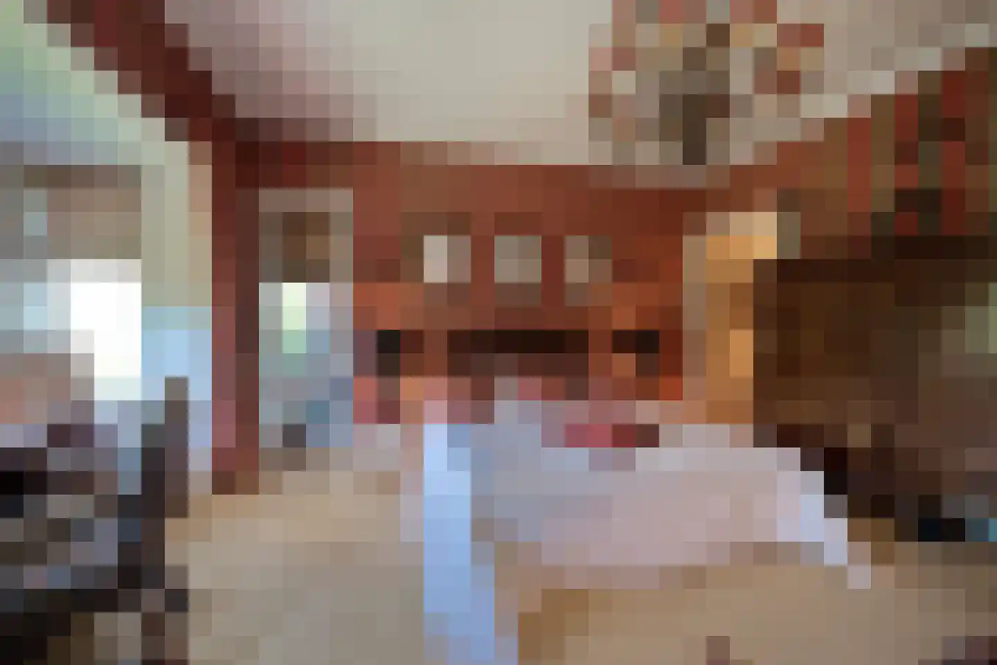 Offenberglaan 1 45 Den Haag thumbnail 49