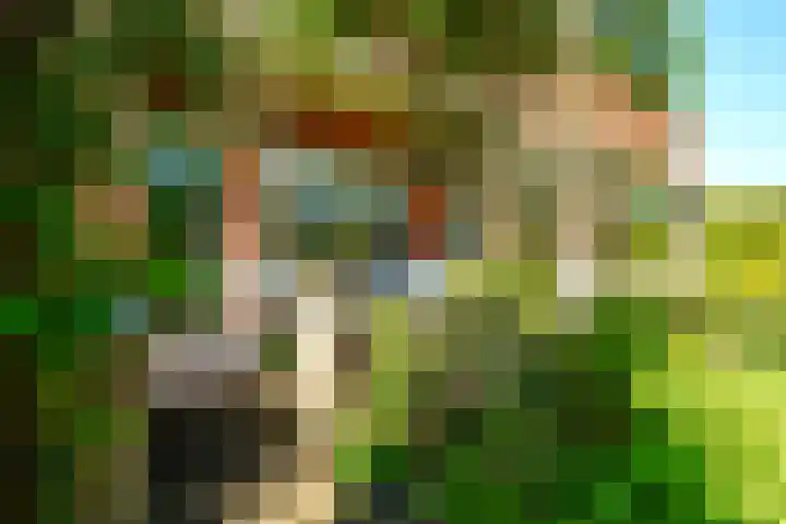 Offenberglaan 1 50 Den Haag thumbnail 10