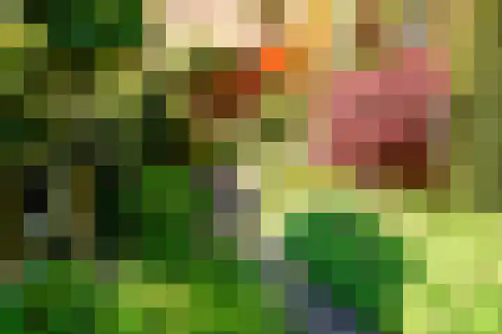 Offenberglaan 1 50 Den Haag thumbnail 12