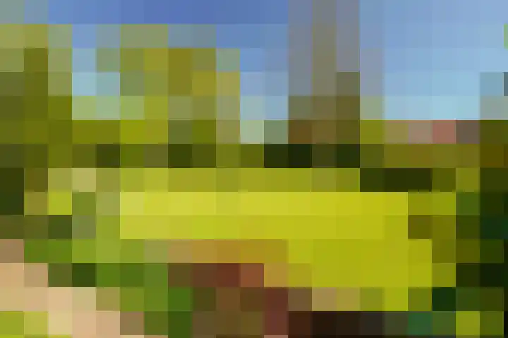 Offenberglaan 1 50 Den Haag thumbnail 13