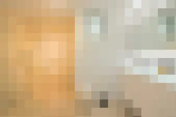 Offenberglaan 1 50 Den Haag thumbnail 39