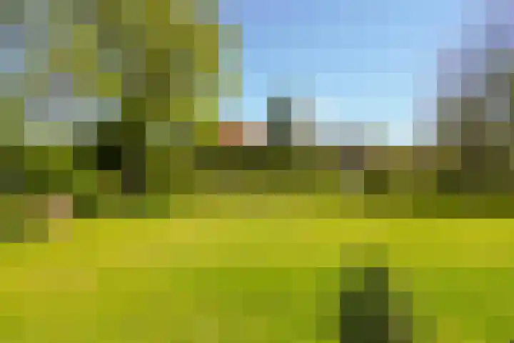 Offenberglaan 1 50 Den Haag thumbnail 46