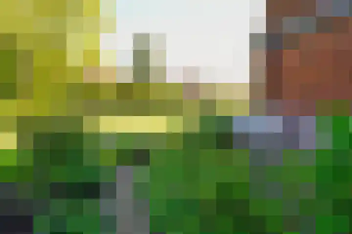 Offenberglaan 1 50 Den Haag thumbnail 47